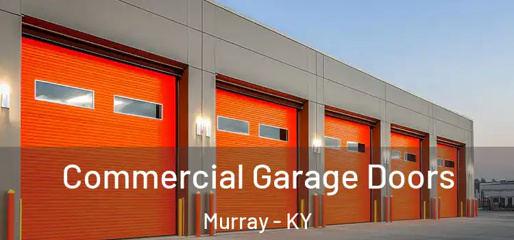  Commercial Garage Doors Murray - KY
