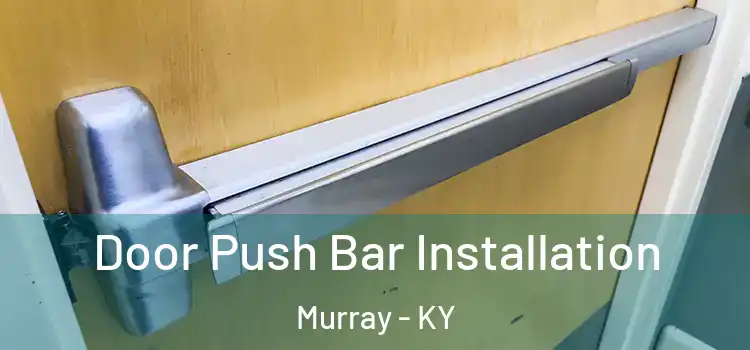 Door Push Bar Installation Murray - KY