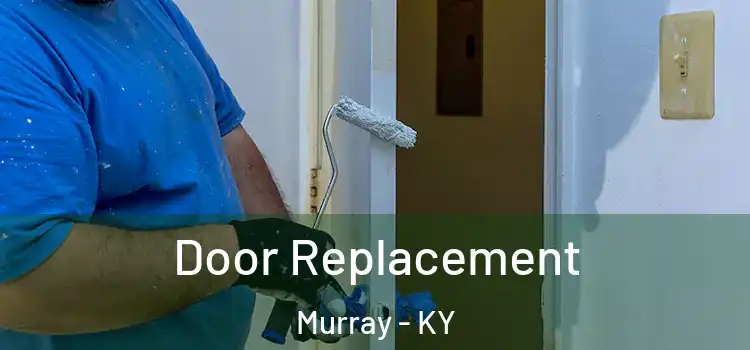  Door Replacement Murray - KY