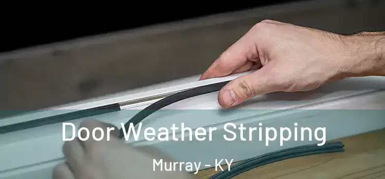  Door Weather Stripping Murray - KY