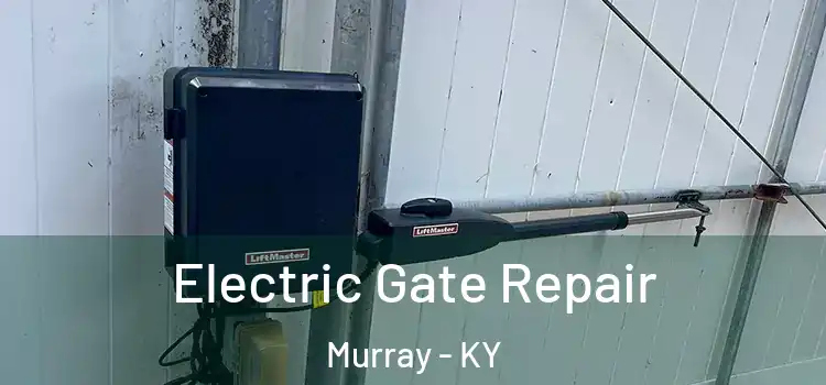  Electric Gate Repair Murray - KY