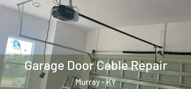  Garage Door Cable Repair Murray - KY