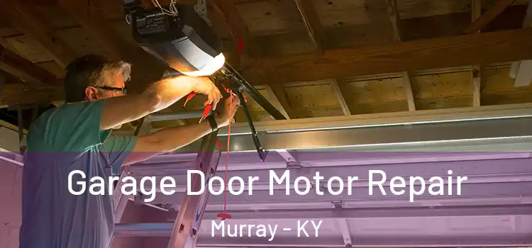  Garage Door Motor Repair Murray - KY