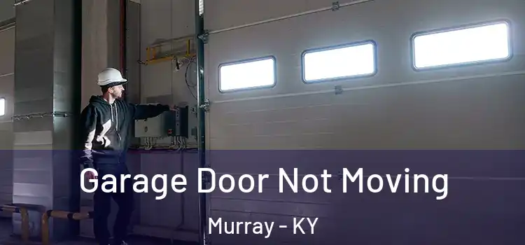 Garage Door Not Moving Murray - KY