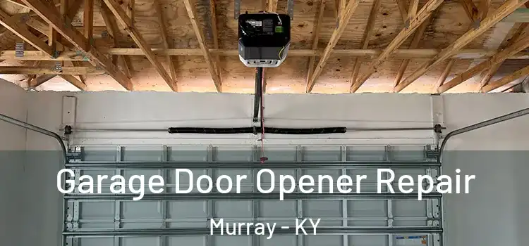  Garage Door Opener Repair Murray - KY