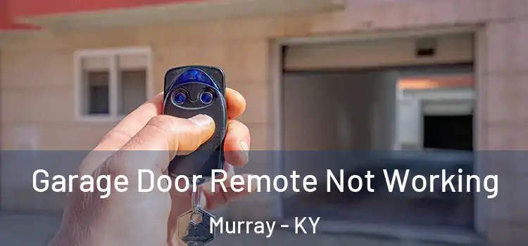  Garage Door Remote Not Working Murray - KY