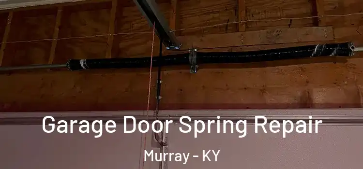  Garage Door Spring Repair Murray - KY