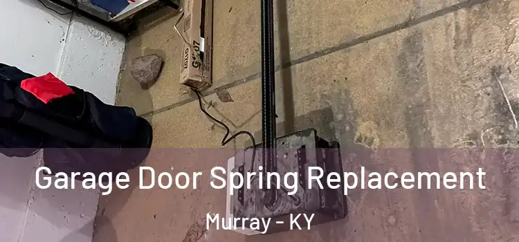  Garage Door Spring Replacement Murray - KY