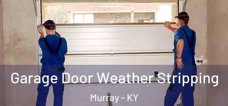  Garage Door Weather Stripping Murray - KY