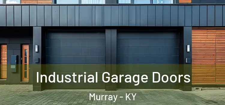  Industrial Garage Doors Murray - KY