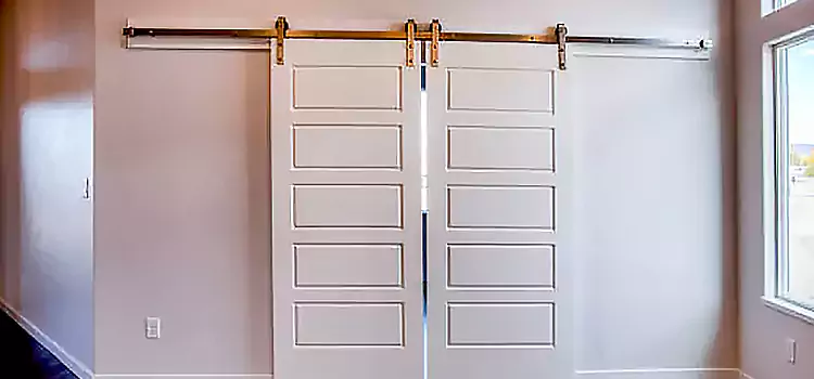 Glass Barn Door with Installation Hardware Kit Murray