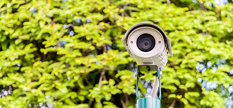 Advanced Surveillance Solutions for Every Need in Murray