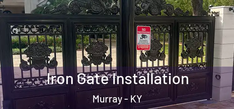 Iron Gate Installation Murray - KY