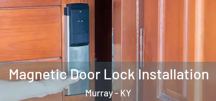  Magnetic Door Lock Installation Murray - KY