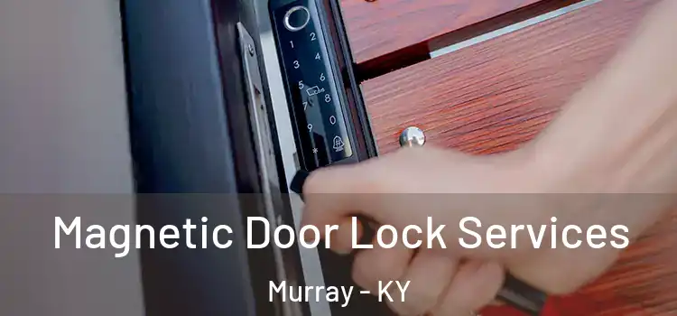  Magnetic Door Lock Services Murray - KY