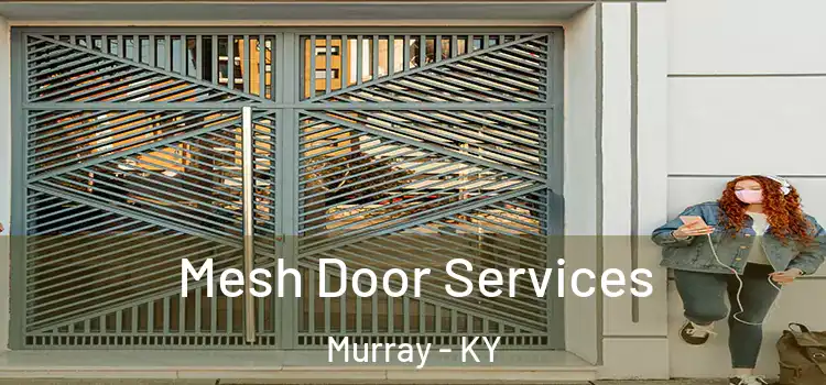 Mesh Door Services Murray - KY