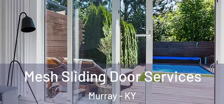 Mesh Sliding Door Services Murray - KY