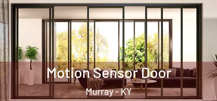  Motion Sensor Door Murray - KY