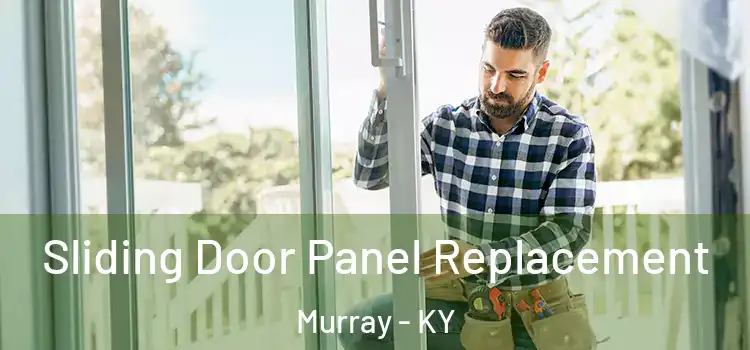  Sliding Door Panel Replacement Murray - KY