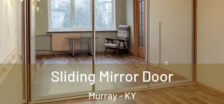  Sliding Mirror Door Murray - KY