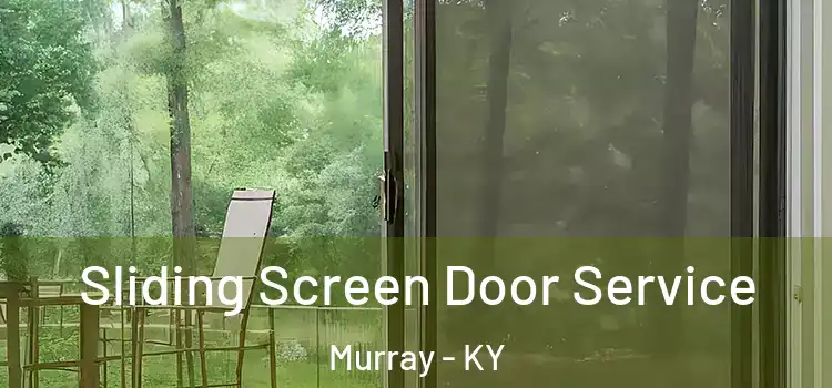  Sliding Screen Door Service Murray - KY