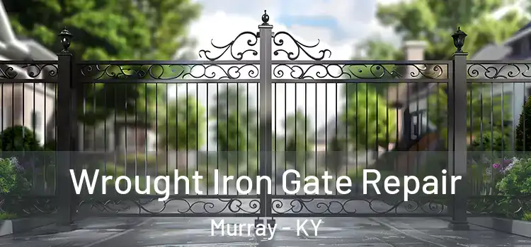 Wrought Iron Gate Repair Murray - KY